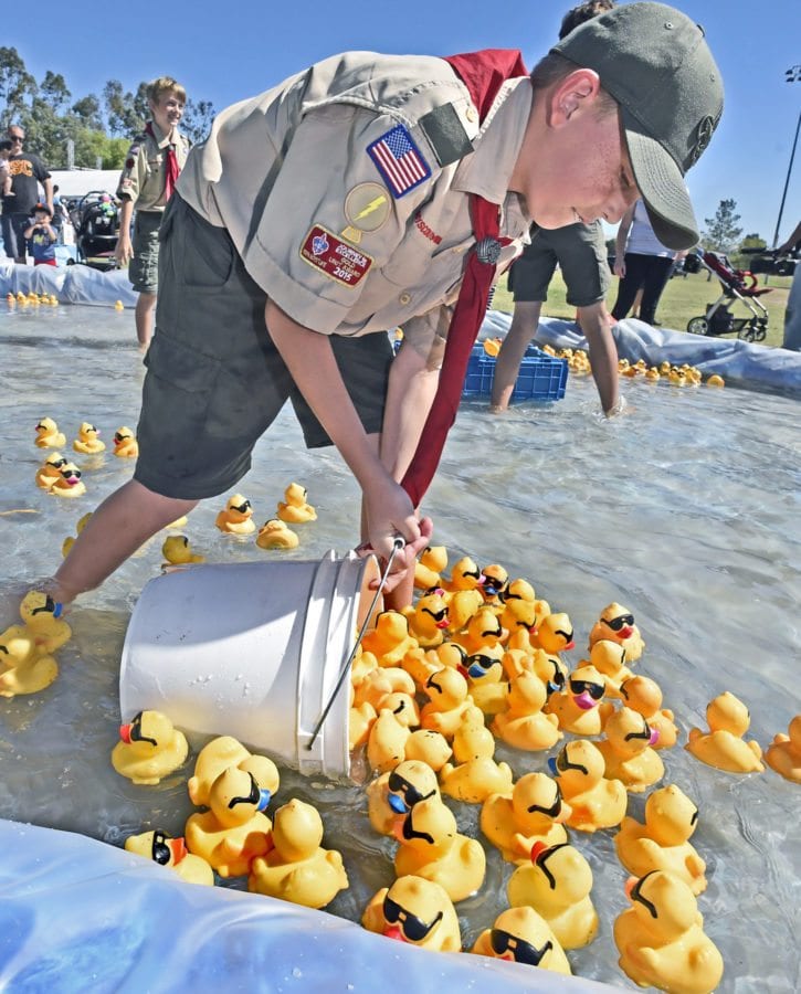 Boyscout Emory Hinze, 11, of troop 609-Nehwall scoops up the finishers of the first race at the 14th Annual Rubber Ducky Festival to benefit the Samuel Dixon Family Health Center held at Bridgeport Park in Valencia on Saturday. Dan Watson/The Signal