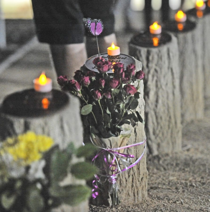 Candles atop tree stumps representing the lives cut short at the Youth Grove at Central Park ahead of the annual Walk of Remembrance on Wednesday, honoring Santa Clarita residents age 24 or under who died in car-related accidents. KATHARINE LOTZE/Signal. 10142015