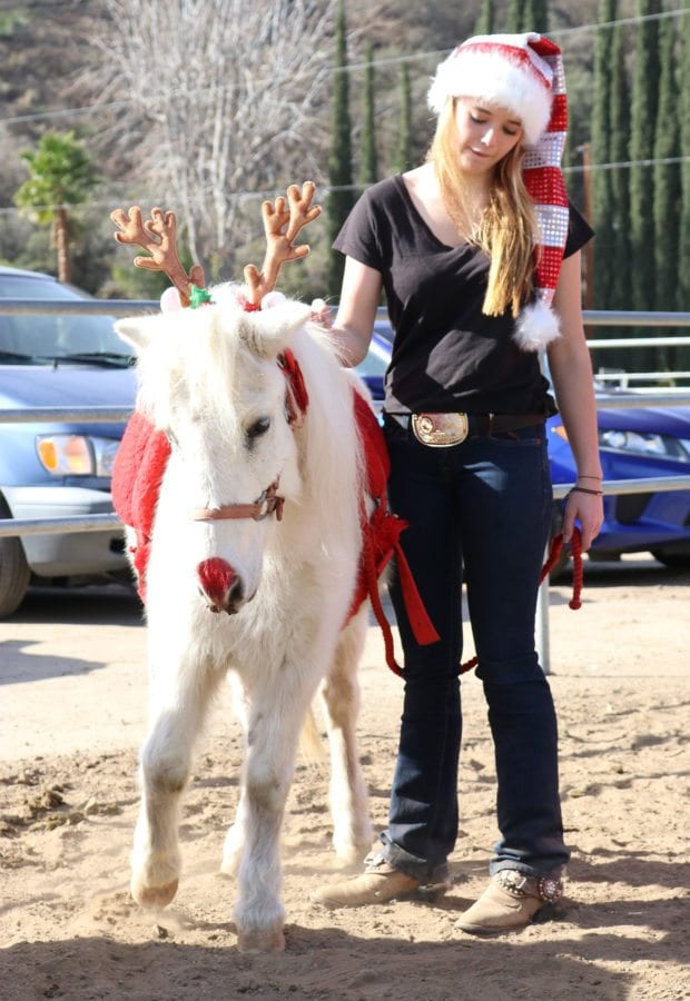 Katie Hood, 15, gets ready to walk in the parade with a pony at the Holiday Hoedown at the Gilchrist Farm near Saugus on Saturday. Nikolas Samuels/The Signal