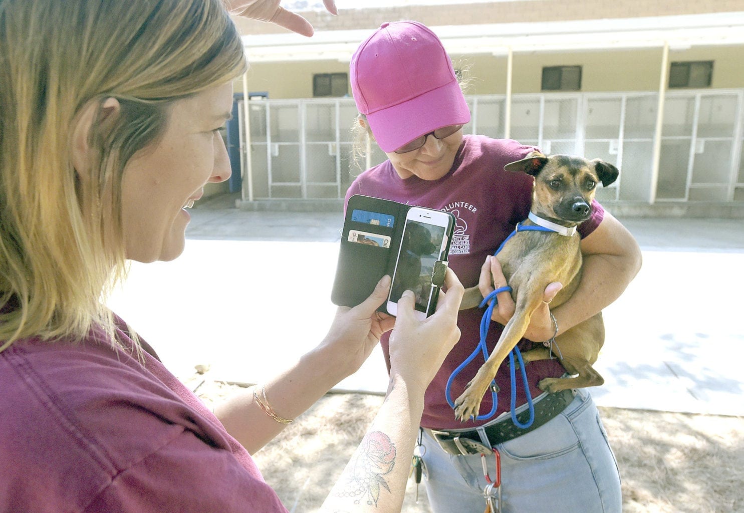 Castaic Animal Care Center volunteers bond with pets, people