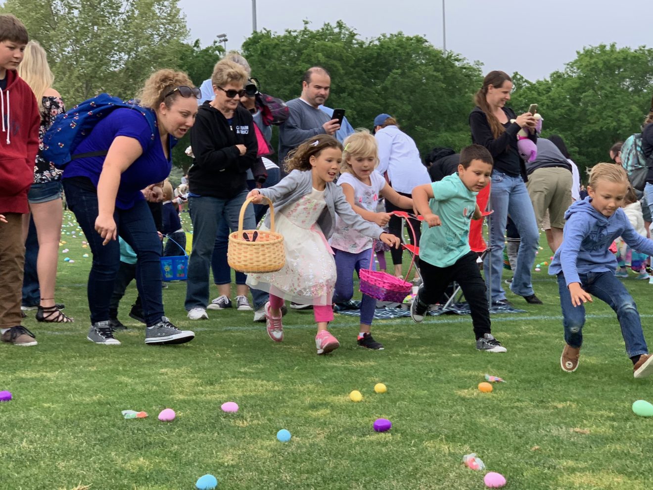 Santa Clarita ups its egg game