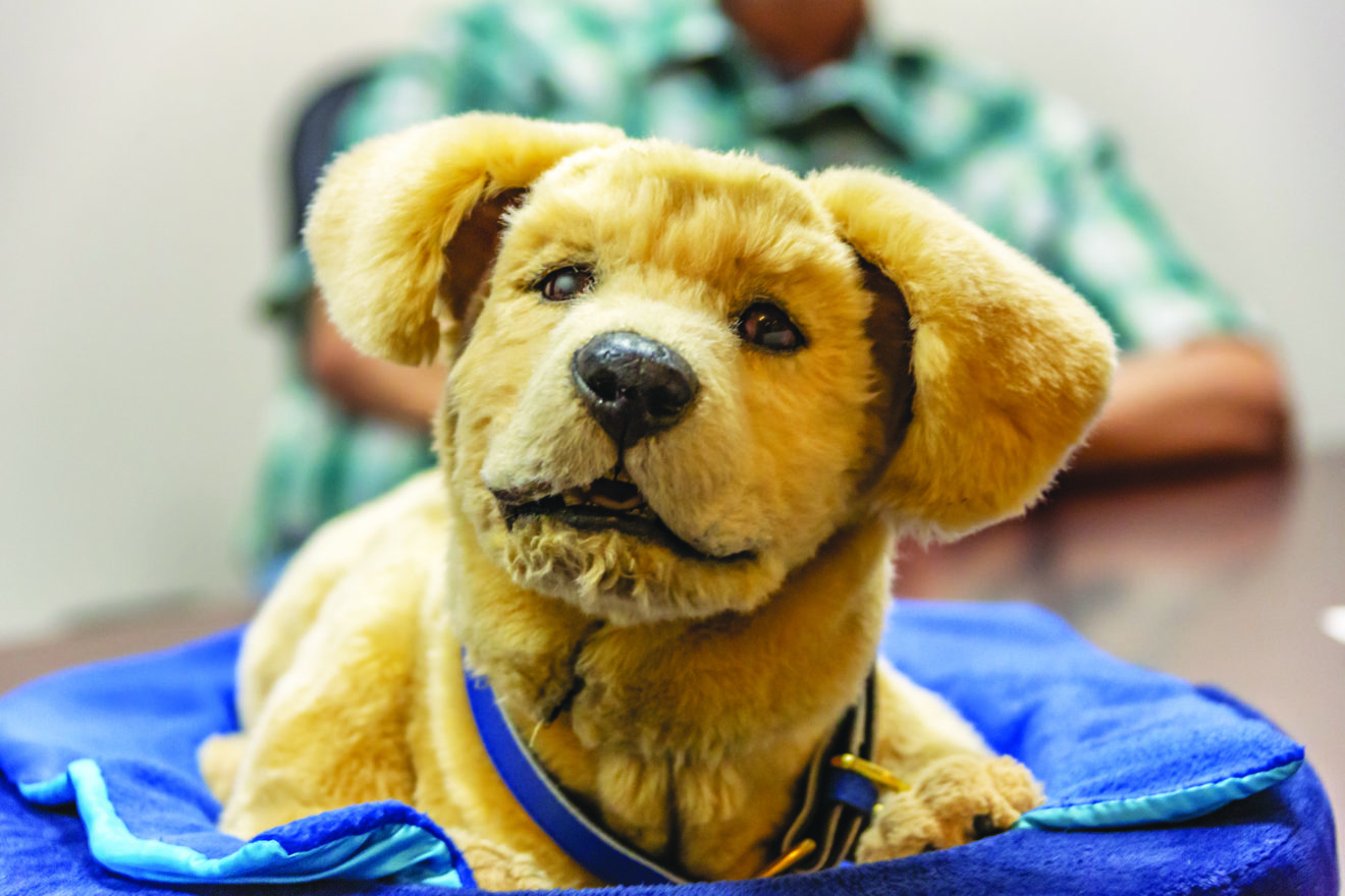 Santa Claritabased Tombot creates robot service dog