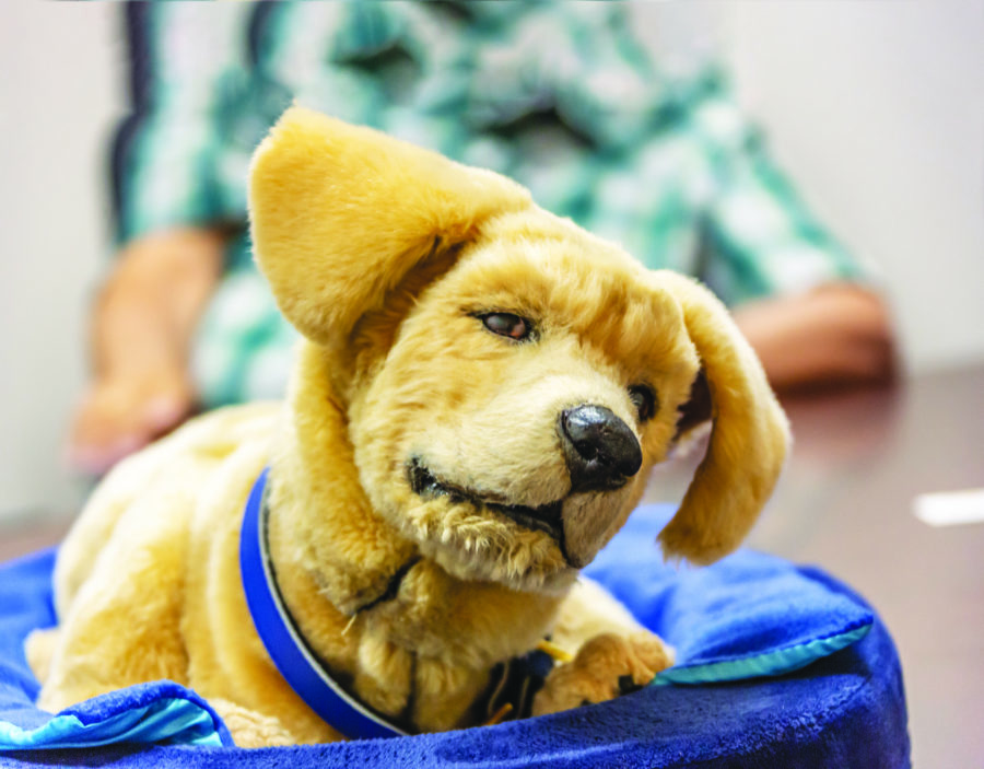 Santa Claritabased Tombot creates robot service dog