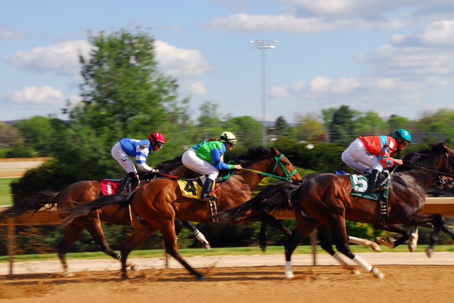 Top Horse Racing Events You Can Surely Bet At Delaware Park Racing