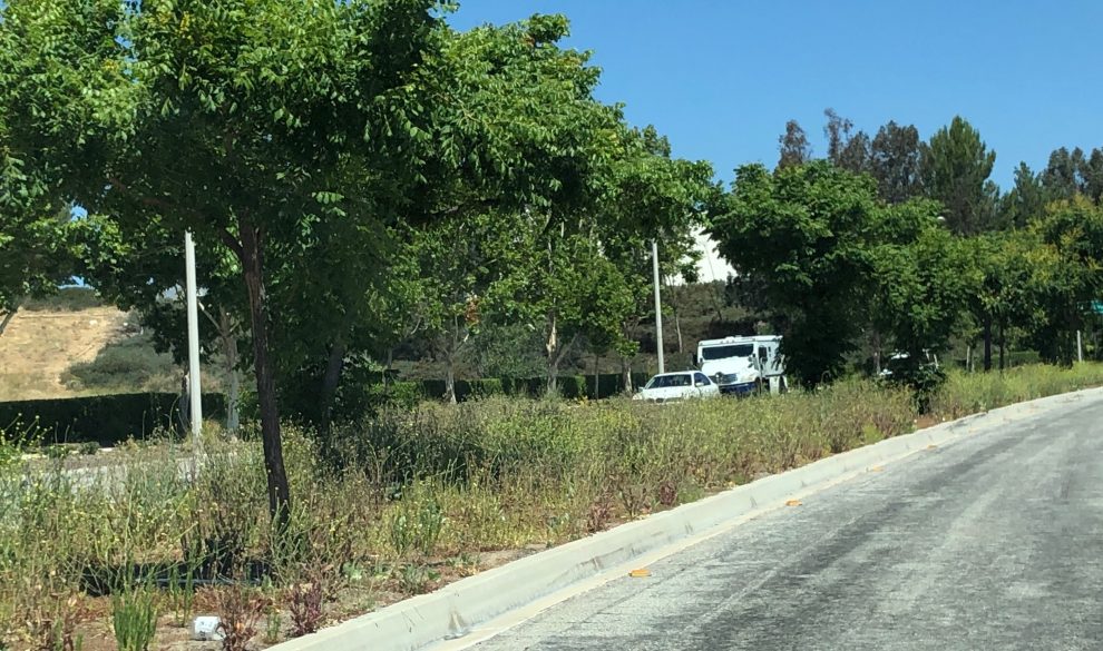 Castaic community to get vote on raising landscape fees or dissolving