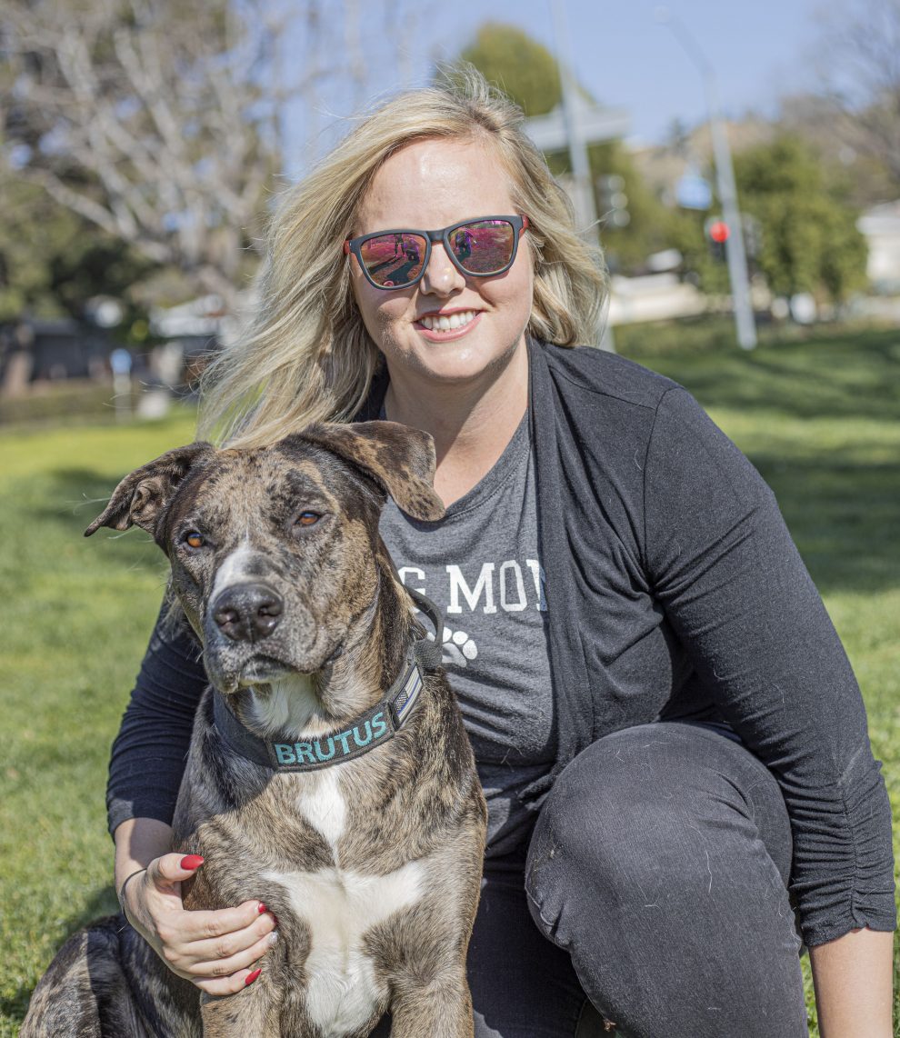 Valencia dog to participate in Hallmark rescue dog show