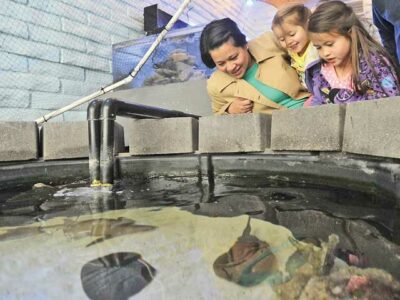 Newhall Aquarium offers hands-on learning encounters with marine life. Signal file photo.