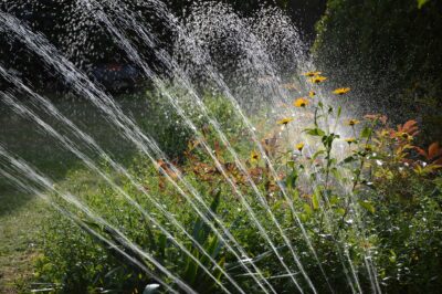 New drought restrictions in the Santa Clarita Valley discourage this type of inefficient and wasteful watering. Plants prefer being watered at root level. Avoid getting leaves wet as it can cause sunscald.