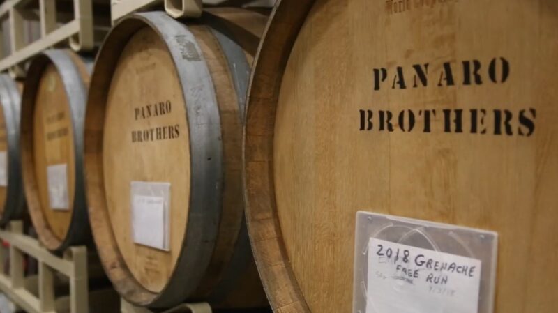 The Panaro family are fifth generation Italian-American winemakers. 