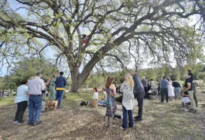John Quigley recreates his tree sitting in the limbs of the 400-year-old oak tree named "Old Glory" as attendees gather around the base for the 20th Anniversary of the event at Pico Canyon Park in Stevenson Ranch on Saturday, 031823.