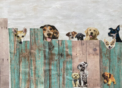 "Looking for Love" by Pat Thayer