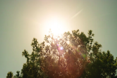 The sun continues to blaze, as temperatures soar throughout the summer. Habeba Mostafa/ The Signal