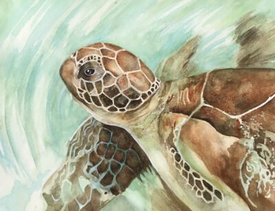 "Turtle Love" by Charlotte Mullich.