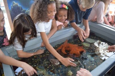 Valencia Marketplace is once again hosting the Aquarium of the Pacific’s “Aquarium on Wheels” and its “Pacific Journeys” educational presentation on Saturday. Courtesy photo.
