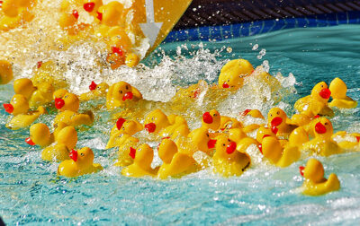 160 rubber ducks race down the slide in the first heat Samuel Dixon Family Heath Center's 20th Annual Dixon Duck Dash held at the Santa Clarita Aquatics Center in Santa Clarita on Saturday, 100723. Dan Watson/The signal