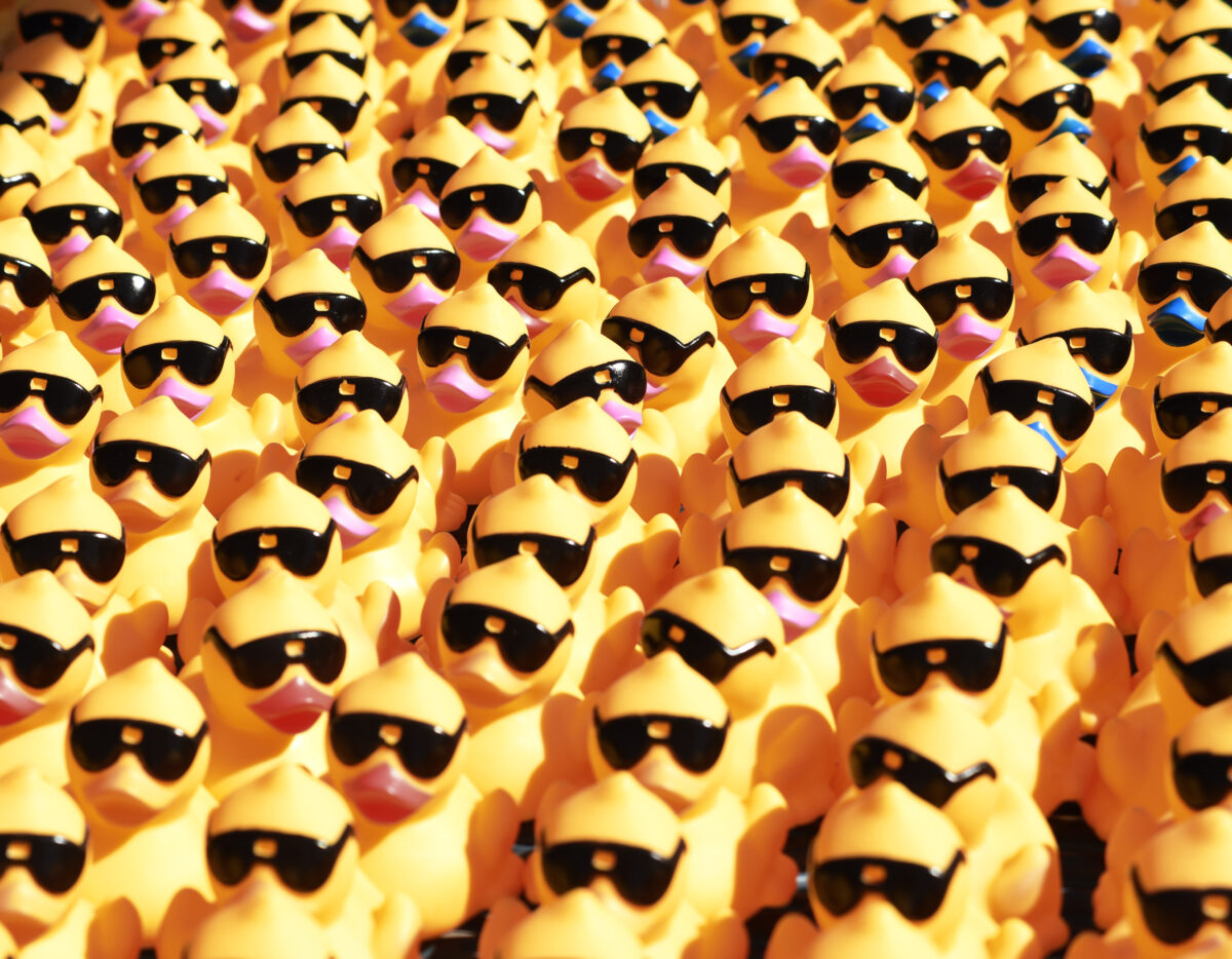 Hundreds of rubber ducks are lined up before the 20th Annual Dixon Duck Dash held at the Santa Clarita Aquatics Center in Santa Clarita on Saturday, 100723. Dan Watson/The signal
