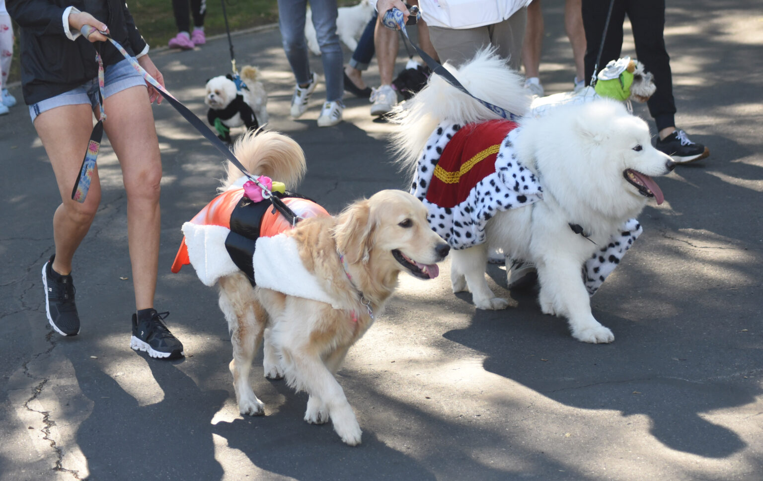 Woodlands Community holds dog costume parade