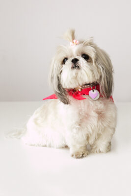 Tessi, the Valencia Acura greeter