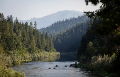 The Klamath River flows outside of Happy Camp on Aug. 29, 2022. Photo by Martin do Nascimento, CalMatters