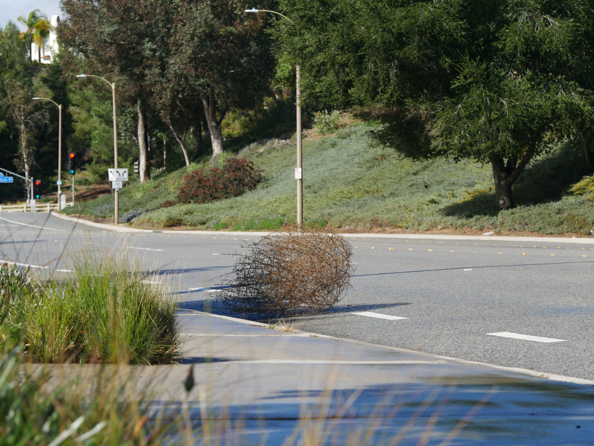 Red Flag Warning in effect due to Santa Ana winds