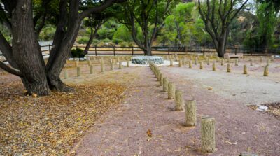 The city of Santa Clarita is now accepting names for the Youth Grove in Central Park. This project honors Santa Clarita youth, aged 24 years and younger, who have tragically lost their lives in traffic-related incidents. Courtesy photo.