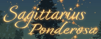 "Sagittarius Ponderosa," a play that delves into the complexities of family, identity and transformation, is coming to The Main in Old Town Newhall.
