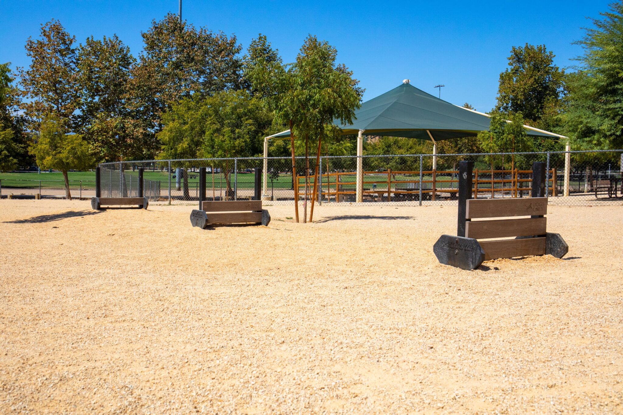 Unleashed! Let Them Run, Play and Make Friends