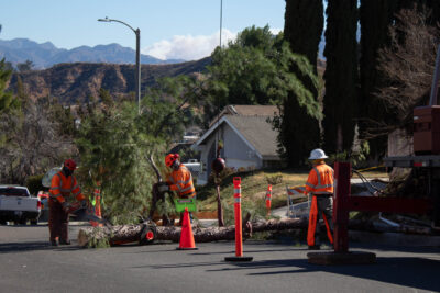 Landscape maintenance workers cut away branches from a tree on Thursday morning that fell and damaged a home on the 23100 block of Cerca Drive Tuesday night. Jan. 9, 2025 Maya Morales/The Signal