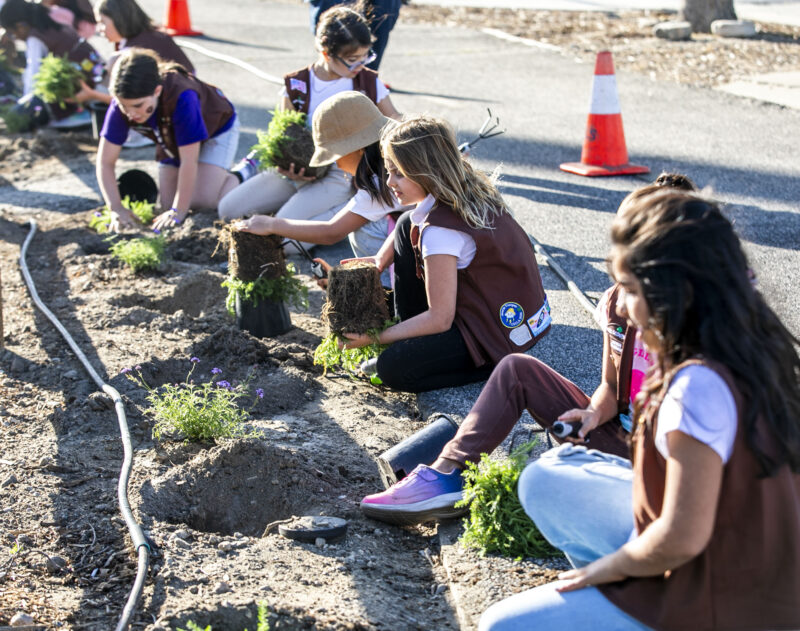 The Girl Scouts Brownie Troop 70572 plants fire resistant plants at the Chuck Pontius Commuter Trail on Wednesday, May 14, 2025. Habeba Mostafa/ The Signal