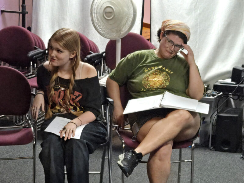 Santa Clarita Shakespeare, in collaboration with Eclipse Theatre LA, is presenting a two-weekend run of “Fairies,” a new original comedy-drama written by Phil Lantis and directed by Nancy Lantis.  Courtesy photo.