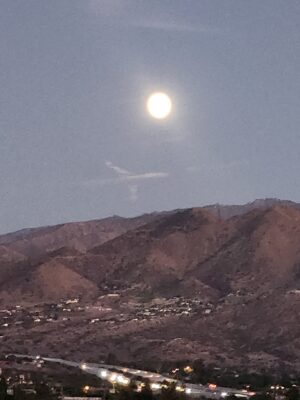 Photo courtesy of Cyndi Tracy.