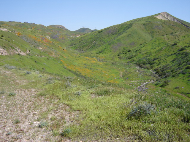 Read more about the article County looking at almost 500 homes east of Canyon Country 