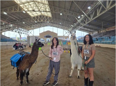 Frankie Hemker (left) and Victoria Alverenga are two of the top 10 in the 4-H Llama Project in the country. Courtesy photo.