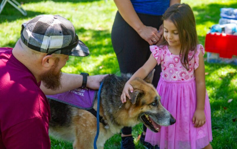Fabiana Sanchez, 5, pets Thor, a dop up for adoption at the Castaic Animal Care Center during the pet adoption event at Bridgeport Park on July 24, 2025  in Valencia, Calif. Katherine Quezada/The Signal