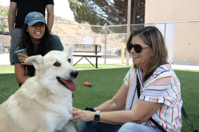 Laurie Adachi pets Honey, a five-year-old Husky mix, at the Summertime of Hope adoption day event at the Castaic Animal Care Center in Castaic, Saturday, July 26, 2025. Kamryn Martell/The Signal