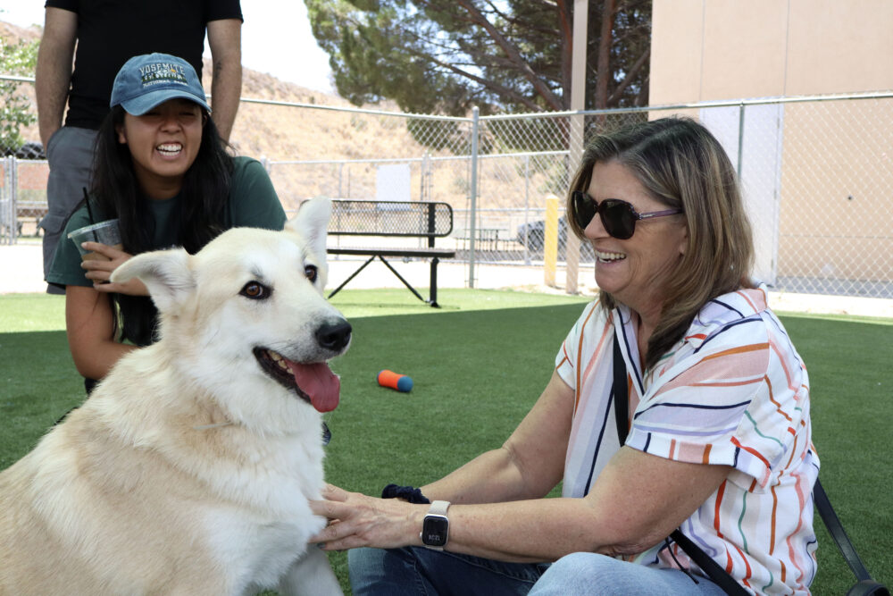 Read more about the article Local animal shelter brings ‘Summertime of Hope’ at adoption day event 