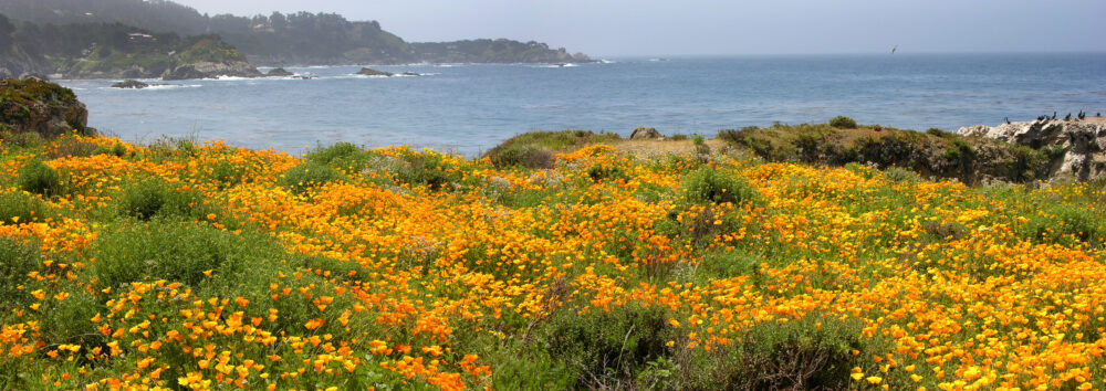 Read more about the article August Road Trip: Seeking California’s ‘Coolest Spots’ 