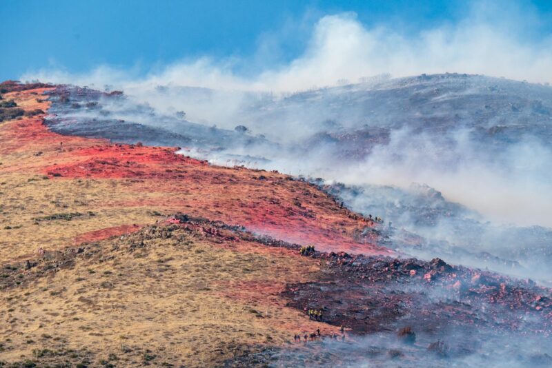 The "Hawk Fire" has scorched 276.7 acres near Acton, Thursday, Aug. 14, 2025. Katherine Quezada/The Signal