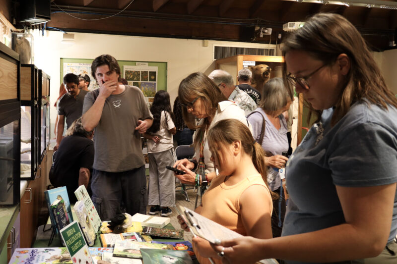 Attendees look at information books and stuffed animals at the "Pollinators on Parade" at the Placerita Canyon Nature Center, Sunday, Aug. 17, 2025. Kamryn Martell/The Signal
