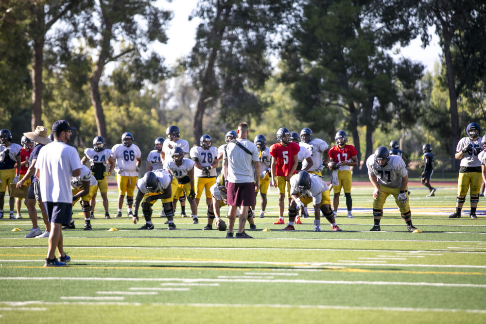 Read more about the article COC football preview: Cougars carry momentum into 2025 