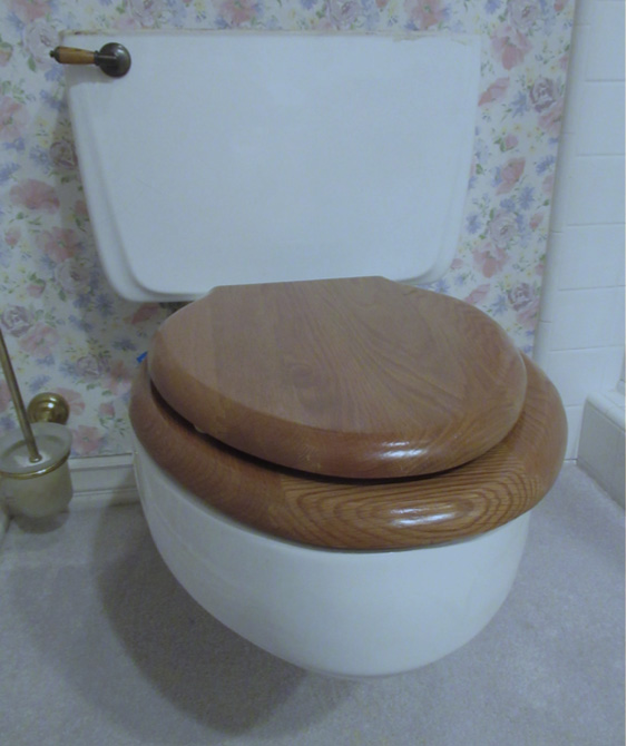 A reader's question for Robert Lamoureux this week focuses on the challenge of finding suitable replacement parts for a toilet that dates back to about 1973. Courtesy photo.