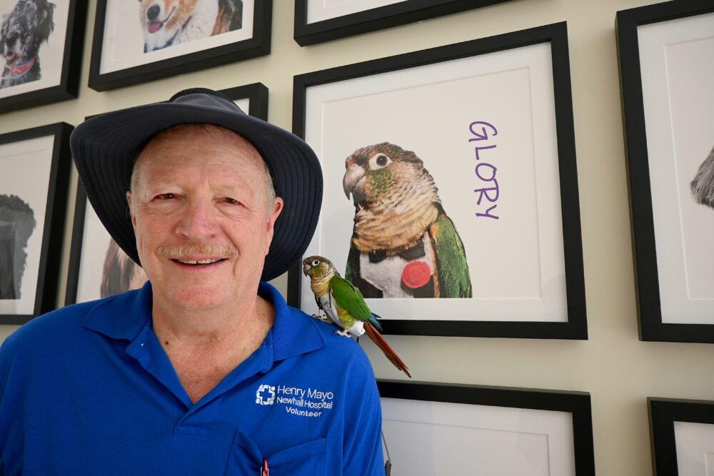 Charles Davis and his therapy bird, Glory, share the spotlight near the therapy animals wall at Henry Mayo Newhall Hospital in Valencia, Sept. 5, 2025. Michael Picarella/The Signal