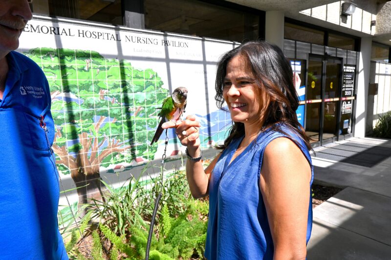 April Garcia, Henry Mayo Newhall Hospital manager of volunteer services, shares a moment with Glory the therapy bird at Henry Mayo in Valencia, Sept. 5, 2025. Michael Picarella/The Signal