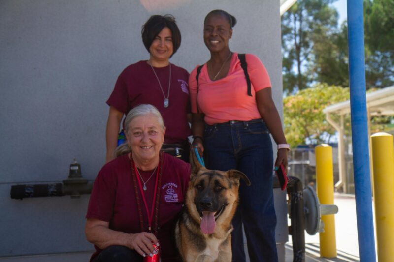 A German shepherd named Dak, on his way home with his new owner following the ‘Emergency Preparedness’ adoption event on Sept. 20, 2025 in Castaic, Calif. Katherine Quezada/The Signal