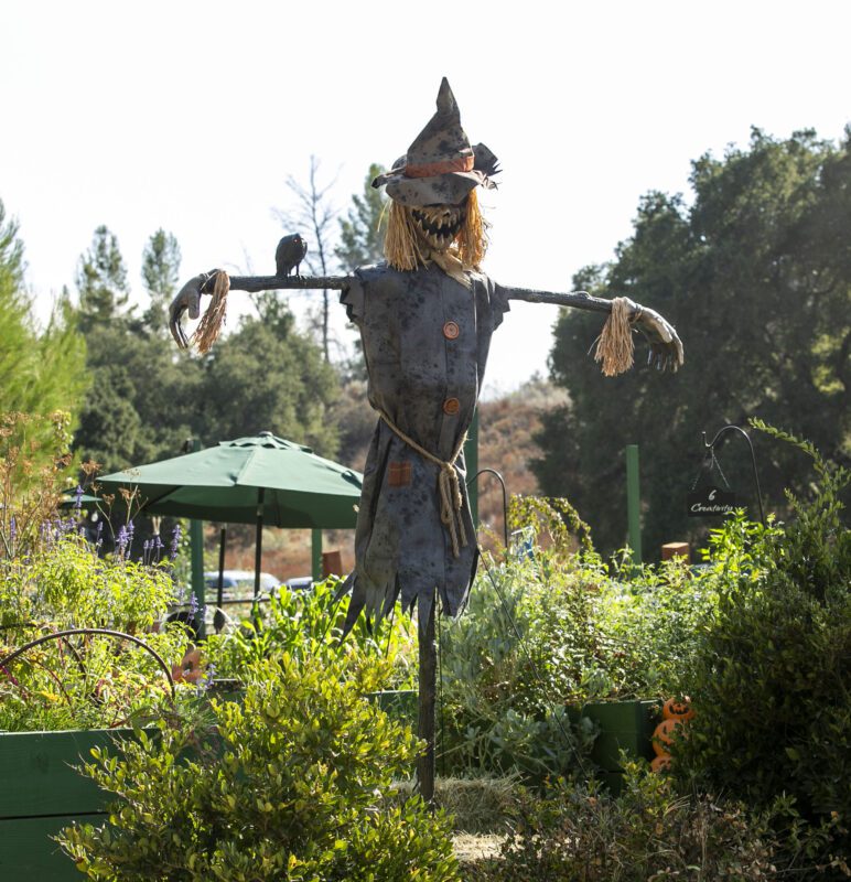 Fall decorations were present throughout the ranch during Fall Festival on the Farm in Sand Canyon on Saturday, Sept. 27, 2025. Habeba Mostafa/ The Signal