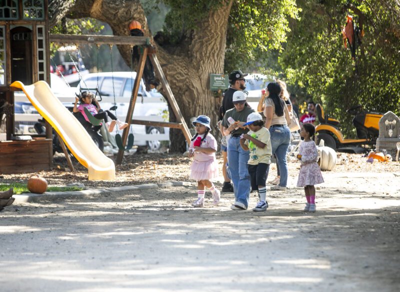 Families enjoy the fall atmosphere at TASC's Fall Festival on the Farm in Sand Canyon on Saturday, Sept. 27, 2025. Habeba Mostafa/ The Signal
