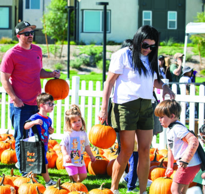 Residents enjoyed the pumpkin patch, and were able to pick two pumpkins to take home, during the third annual Fallencia, hosted by Valencia by FivePoint, at Verve Park on Saturday, Oct. 4, 2025. Habeba Mostafa/ The Signal