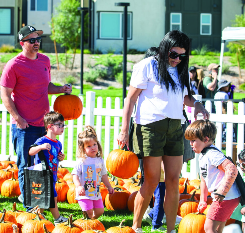 Residents enjoyed the pumpkin patch, and were able to pick two pumpkins to take home, during the third annual Fallencia, hosted by Valencia by FivePoint, at Verve Park on Saturday, Oct. 4, 2025. Habeba Mostafa/ The Signal