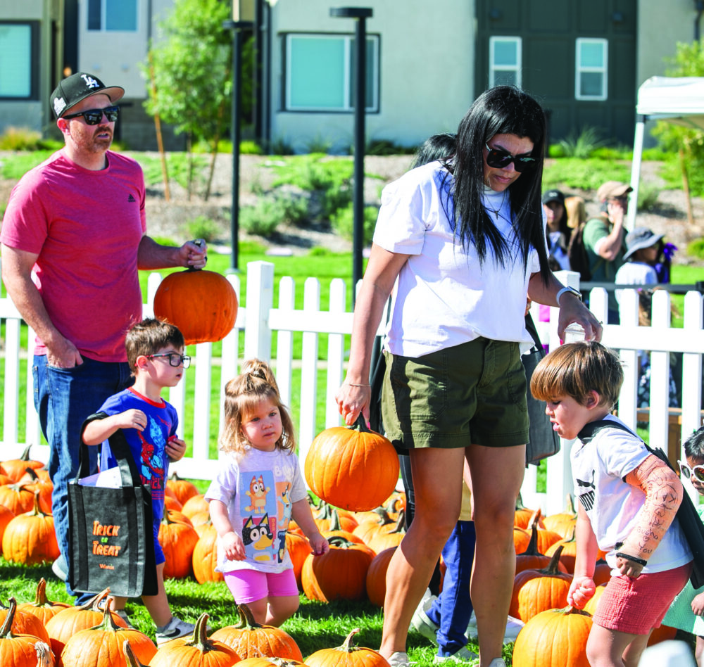 Residents enjoyed the pumpkin patch, and were able to pick two pumpkins to take home, during the third annual Fallencia, hosted by Valencia by FivePoint, at Verve Park on Saturday, Oct. 4, 2025. Habeba Mostafa/ The Signal