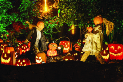 “Carved” at Descanso Gardens offers guests hundreds of hand-carved pumpkins in creative displays throughout the gardens. Photo COURTESY Descanso Gardens.